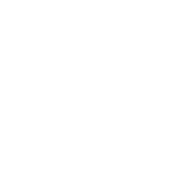 American Home Life Insurance Company